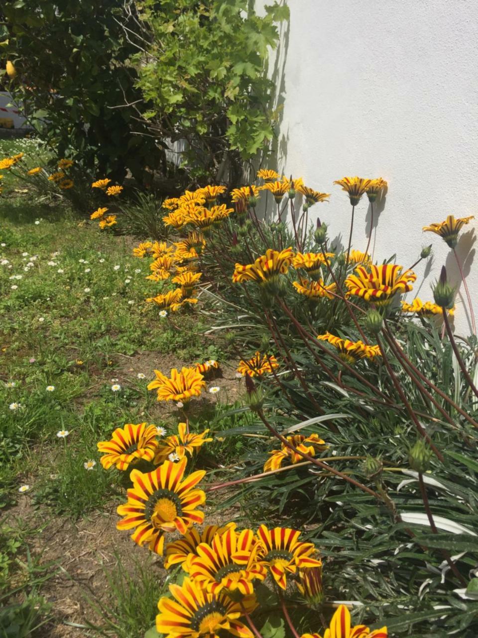 Maison La Fleur De Sel Anglet Exterior foto